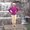Photo of Jessica C.