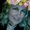 Photo of Galina G.