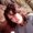 Photo of Jennifer D.