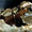 Photo of Qype User (misenp…)