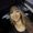 Photo of Carissa H.