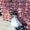Photo of Lizeth A.