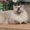 Photo of Neko C.