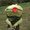 Photo of Judd O.
