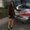 Photo of Kristy N.