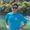 Photo of Ryan H.