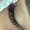 Photo of Bella Eyelash Extension C.