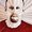 Photo of Derek T.
