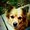 Photo of Remi L.