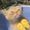 Photo of Nhu P.