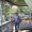 Photo of Sevitha N.
