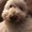Photo of Linus F.