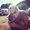 Photo of Maura A.