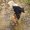 Photo of Piper S.