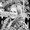 Photo of Michelle N.