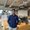 Photo of Abhi M.