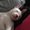 Photo of Nicholette M.