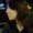 Photo of Hua L.