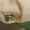 Photo of Vaso B.