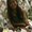 Photo of Shelly N.