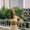 Photo of Caitlin T.