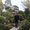 Photo of Joon Sung S.