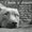 Photo of Angie L.