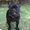 Photo of Kellz P.