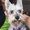 Photo of Sheila H.