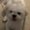 Photo of Jayden A.