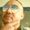 Photo of Donnie C.