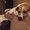 Photo of Harlie D.