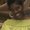 Photo of Tameka L.