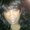 Photo of Chaunte S.