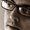 Photo of Matt S.