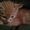 Photo of Gretl K.