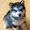 Photo of Qype User (wil48d…)
