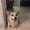 Photo of Thuy H.