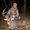 Photo of Tyler H.