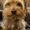 Photo of Luna E.