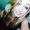 Photo of Brittany D.