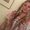 Photo of Tami R.