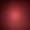 Photo of Leelucky S.