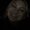 Photo of Nadia Q.