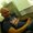 Photo of Shane P.