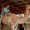 Photo of Jarick C.