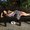 Photo of Prachi K.
