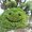 Photo of Patt H.