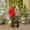 Photo of Aimee C.