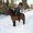 Photo of Qype User (Hraf…)